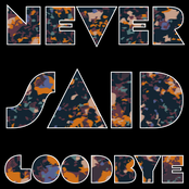 Never Said Goodbye