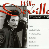 Hey Joe by Willy Deville