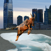 What is the point of putting a blank paper beside a telephone that is not ringing?