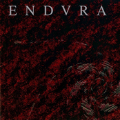 The Dark Is Light Enough