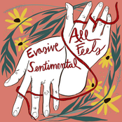 Evasive Sentimental