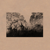 En busca del tiempo perdido