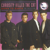 Down To Earth The Collection