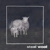 Steel Wool