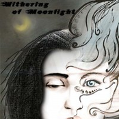 Withering Of Moonligh