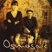 Osmosaïc