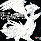 Nintendo DS Pokémon Black・White Super Music Collection