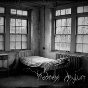 Madness Asylum