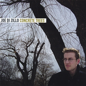 Joe Di Zillo: Concrete Trees