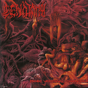 Cenotaph: Pseudo Verminal Cadaverium