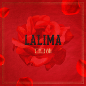 No Answer (IMITATION X LA LIMA)