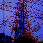 for the flesh and for the machine