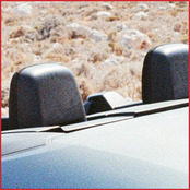 Visiting Dust Bunnies