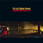 My Little Red Book (live) by The Last Shadow Puppets