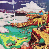 Marshall Tucker Band: A New Life
