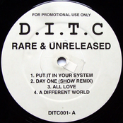 Diamond D: Rare & Unreleased