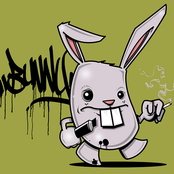 Drug Bunny