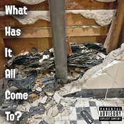 What Has It All Come To?