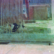 san antonio de padua