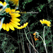 Darden Smith: Sunflower