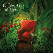 A Shrewdness of Apes