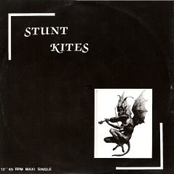 the stunt kites