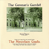 Baboon by The Mountain Goats