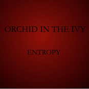 Entropy