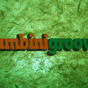 Lumbinigroove