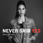 Never Said Yes - Single