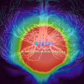 Mental: A Neurofeedback Odyssey