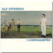 I Overkligheten by Ulf Stureson