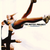 Used To Be Alone by The Pettit Project