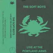 White Shoe Blues by The Soft Boys