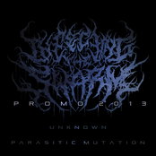 INFECTING THE SWARM - Promo 2013