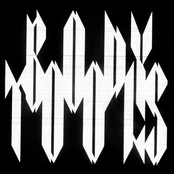 Locusts & Lions/Brave