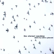 The Eternal Sunshine