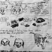 I Don't Even Wear Glasses