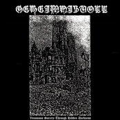 Venomous Sorcery Through Hidden Darkness