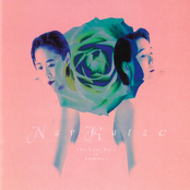 The Last Rose in Summer