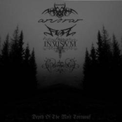 Depth of the Most Tortuous