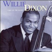 If The Sea Was Whiskey by Willie Dixon