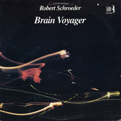 Brain Voyager by Robert Schroeder