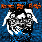 Chulo/Test/Exacerbación