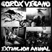 Extincion Animal