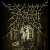 Brutal Seach Engine vol.1 [cuntway]