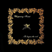 ...So Begins The End