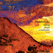 Tindersticks