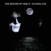 Sisters Of Mercy: Floodland