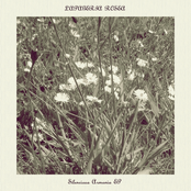 Silenciosa Armonia (EP)